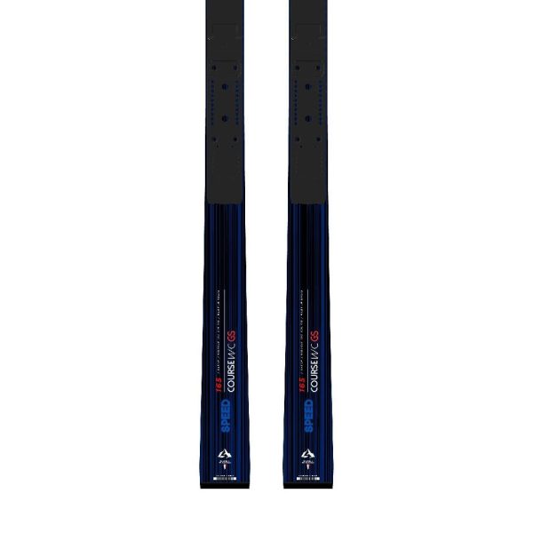 Skis Dynastar Speed CRS WC GS R22 2023 Cheap