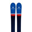 Skis Dynastar Team Comp 2023 on Sale