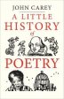 A Little History of Poetry by John Carey Hot on Sale