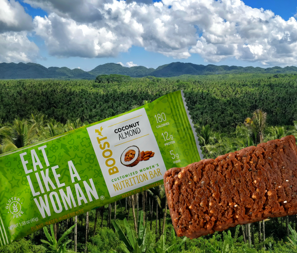 Coconut Almond BOOST Bar 12-Pack Online