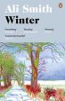 Winter by Ali Smith Cheap