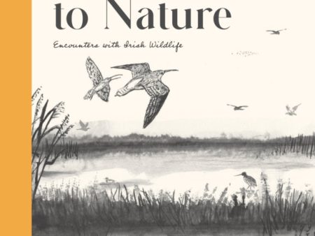 Drawn to Nature : Encounters with Irish Wildlife by Don Conroy Online now