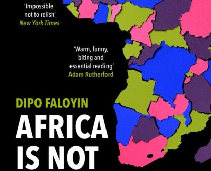 Africa Is Not A Country: Breaking Stereotypes of Modern Africa by Dipo Faloyin Cheap