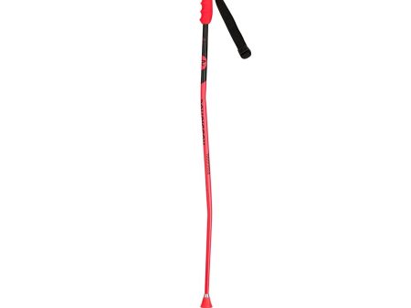 Youth Ski Poles Rossignol Hero GS Jr Online Sale