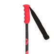 Youth Ski Poles Rossignol Hero GS Jr Online Sale