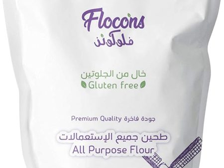 FLOCONS Gluten Free Premium Quality All Purpose Flour, 1 kg Hot on Sale