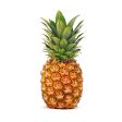 FRESH Pineapple - Philippines, 1pc - 1Kg to 1.8Kg Supply