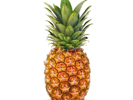 FRESH Pineapple - Philippines, 1pc - 1Kg to 1.8Kg Supply